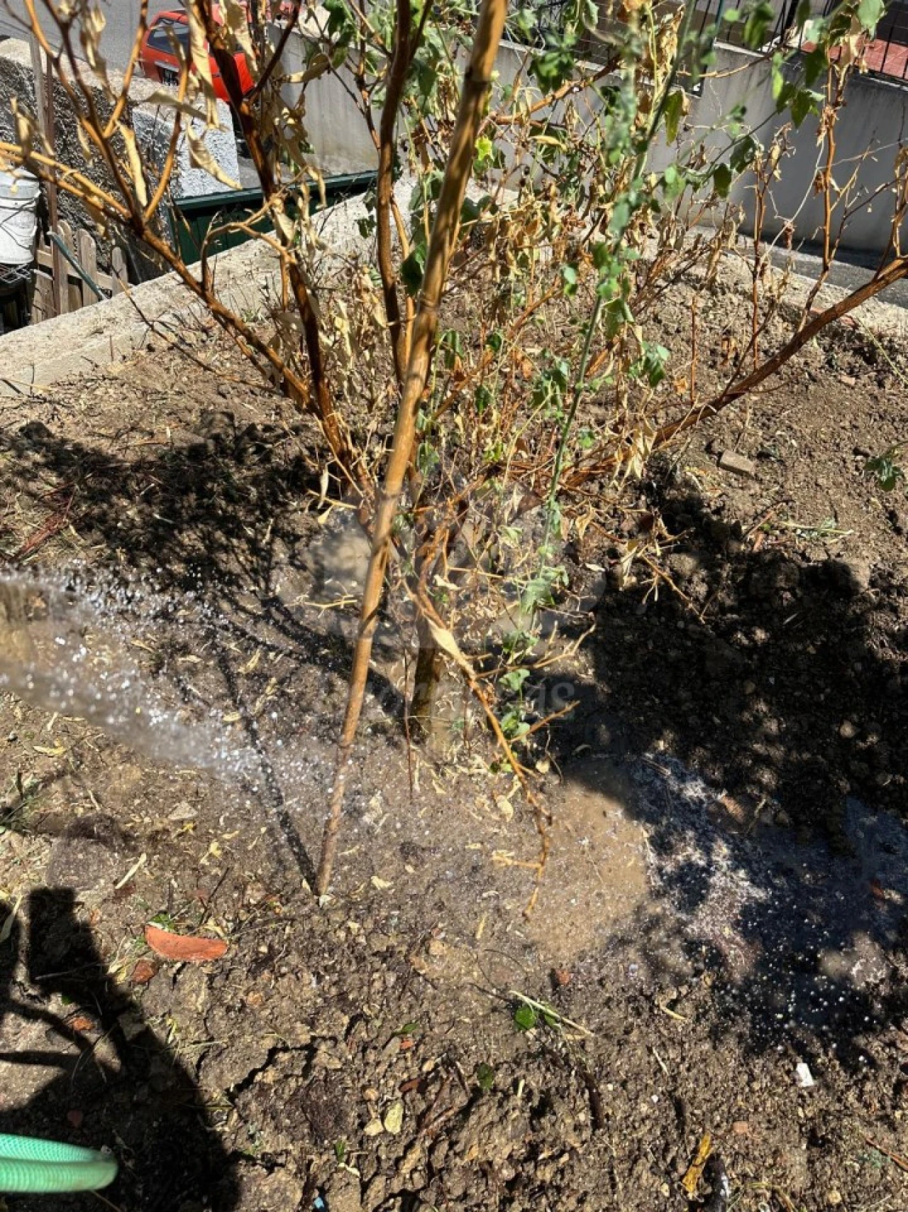 Armazém para Venda em Camarate, Unhos e Apelação Foto 13
