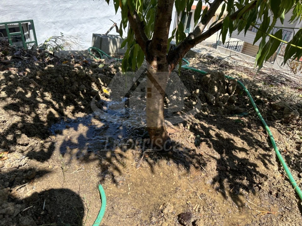 Armazém para Venda em Camarate, Unhos e Apelação Foto 17