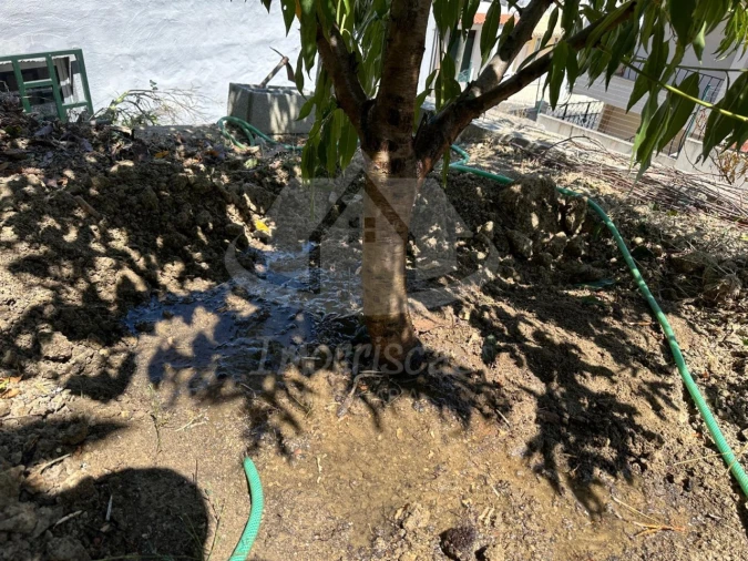 Armazém para Venda em Camarate, Unhos e Apelação Foto 13