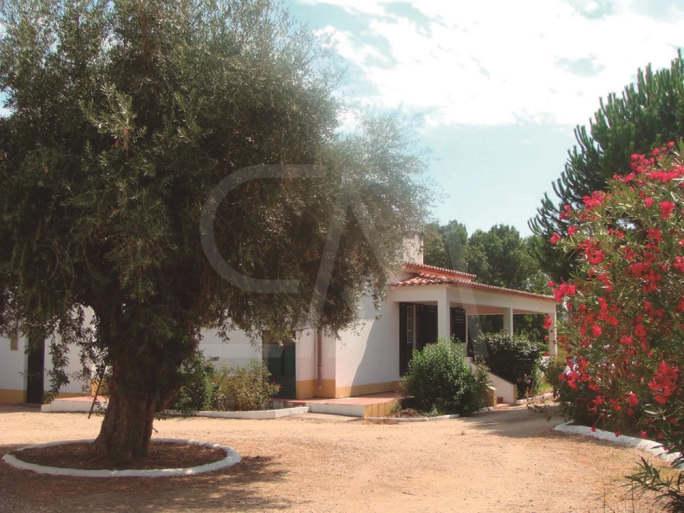 Quinta T3 para Venda em Alvega e Concavada Foto 17