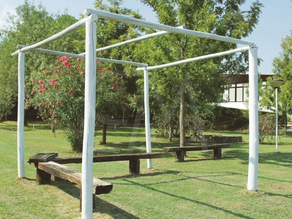 Quinta T3 para Venda em Alvega e Concavada Foto 28