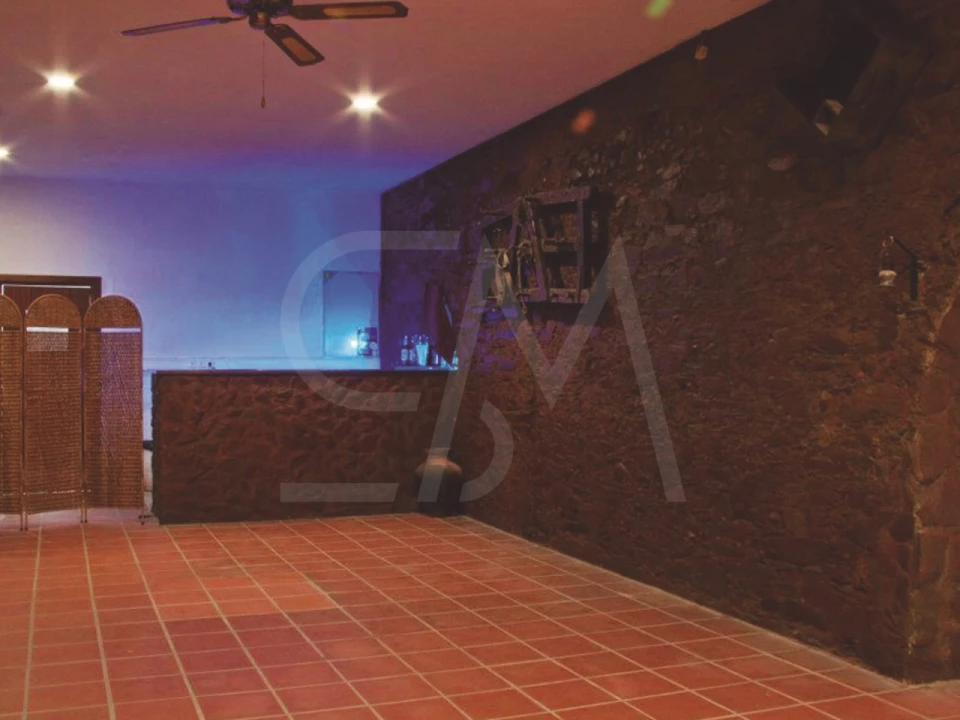 Quinta T3 para Venda em Alvega e Concavada Foto 41