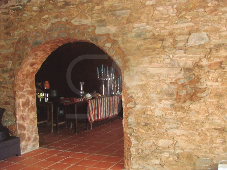 Quinta T3 para Venda em Alvega e Concavada Foto 42