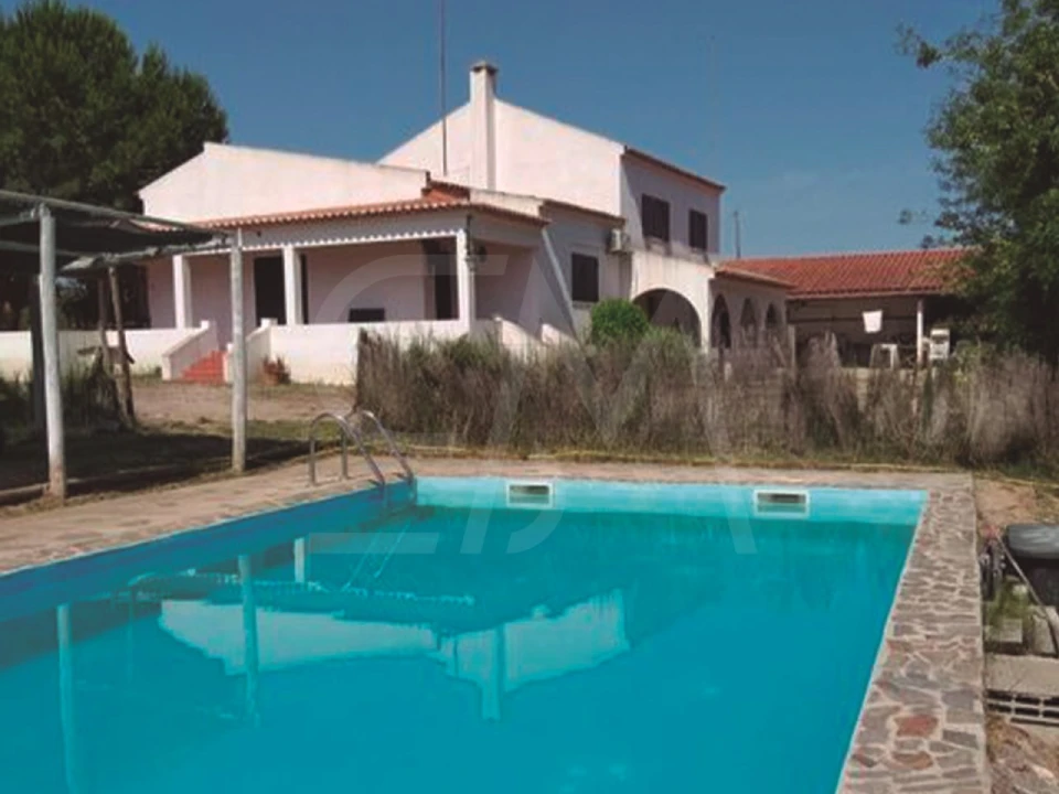 Quinta T3 para Venda em Alvega e Concavada Foto 45