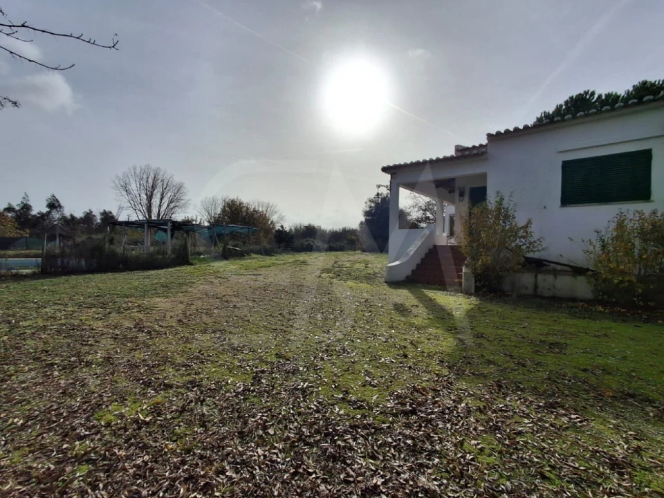 Quinta T3 para Venda em Alvega e Concavada Foto 4