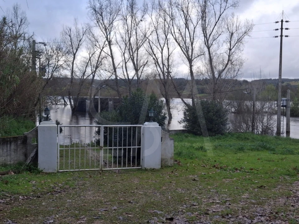 Quinta T3 para Venda em Alvega e Concavada Foto 6