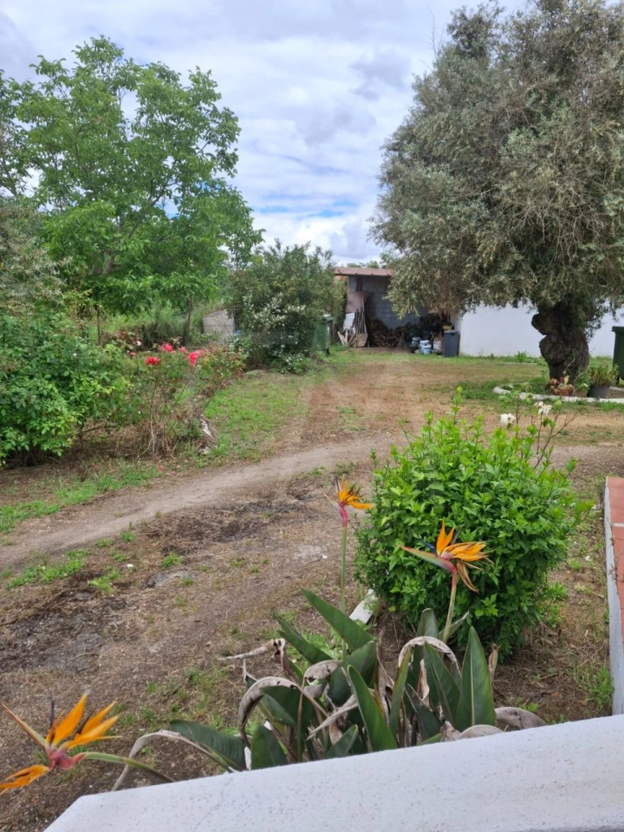 Quinta T3 para Venda em Alvega e Concavada Foto 11