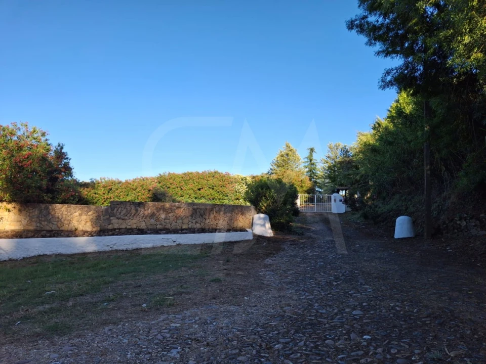 Quinta T3 para Venda em Alvega e Concavada Foto 12