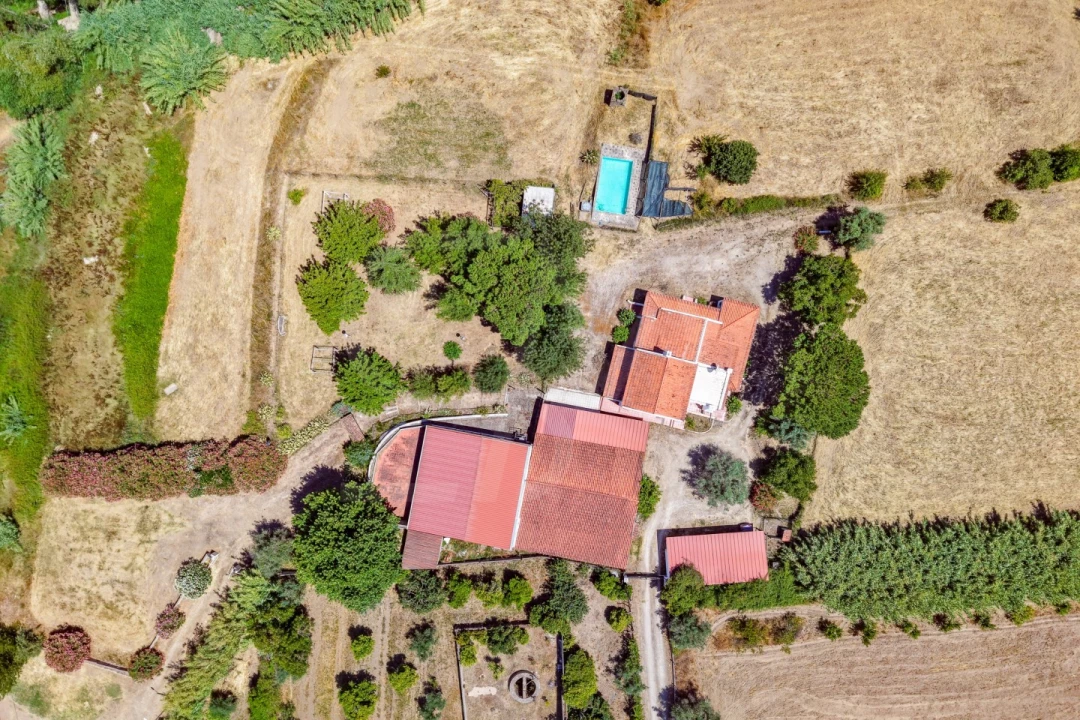 Quinta T3 para Venda em Alvega e Concavada Foto 3