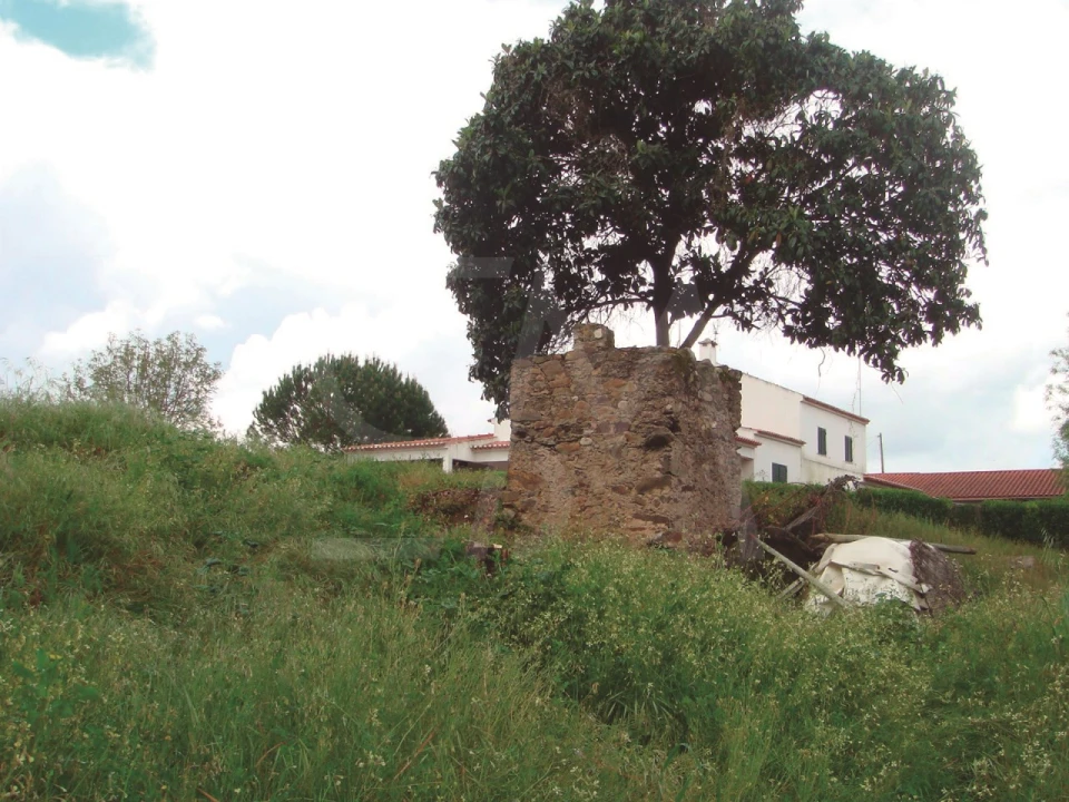 Quinta T3 para Venda em Alvega e Concavada Foto 48