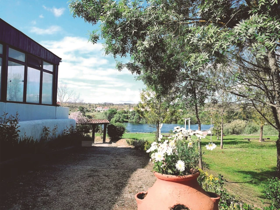 Quinta T3 para Venda em Alvega e Concavada Foto 55
