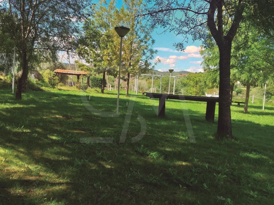 Quinta T3 para Venda em Alvega e Concavada Foto 58