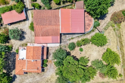 Quinta T3 para Venda em Alvega e Concavada