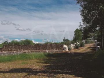 Quinta T3 para Venda em Alvega e Concavada