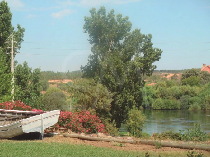 Quinta T3 para Venda em Alvega e Concavada Foto 23