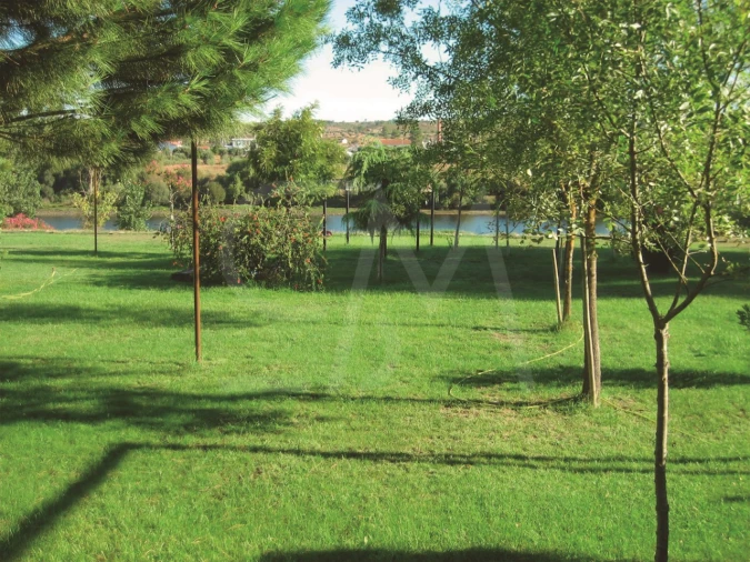 Quinta T3 para Venda em Alvega e Concavada Foto 27