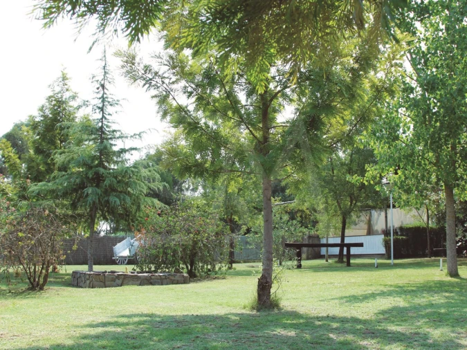 Quinta T3 para Venda em Alvega e Concavada Foto 30