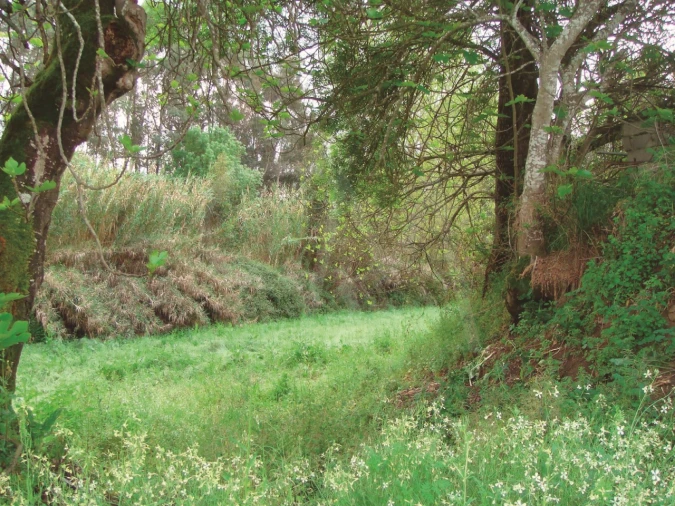 Quinta T3 para Venda em Alvega e Concavada Foto 31