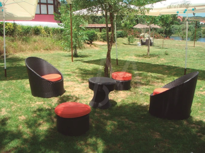 Quinta T3 para Venda em Alvega e Concavada Foto 32