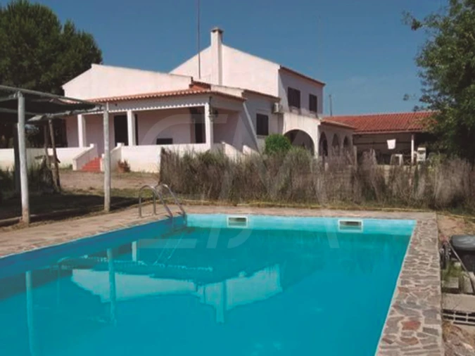 Quinta T3 para Venda em Alvega e Concavada Foto 45