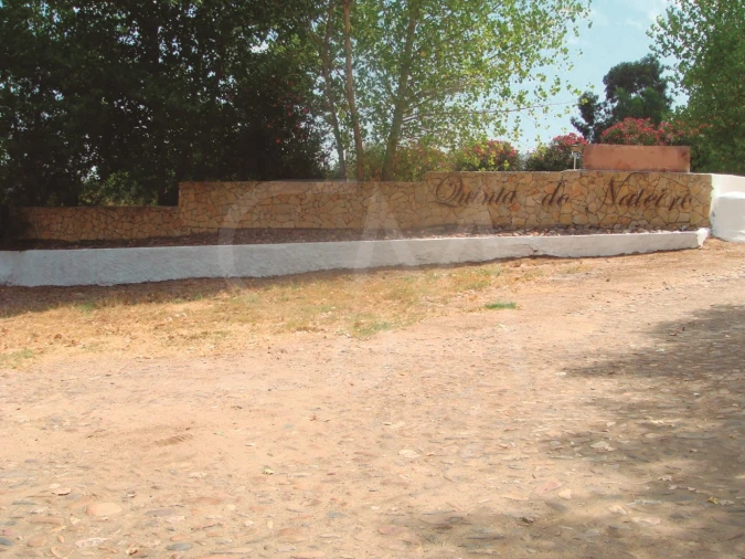 Quinta T3 para Venda em Alvega e Concavada Foto 50