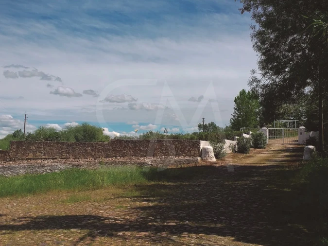 Quinta T3 para Venda em Alvega e Concavada Foto 51