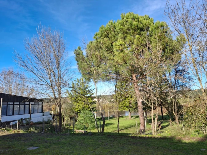 Quinta T3 para Venda em Alvega e Concavada Foto 5