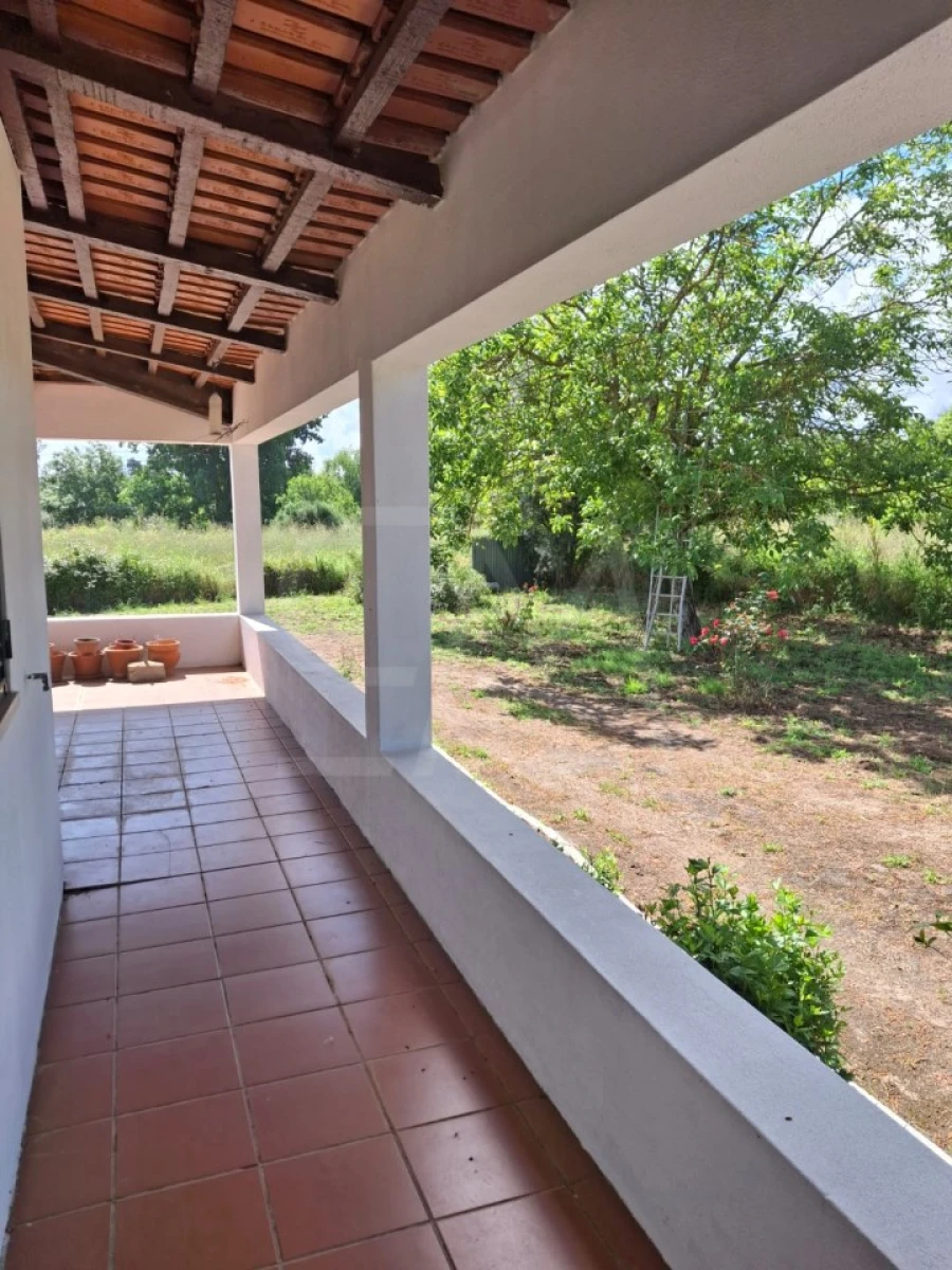 Quinta T3 para Venda em Alvega e Concavada Foto 13