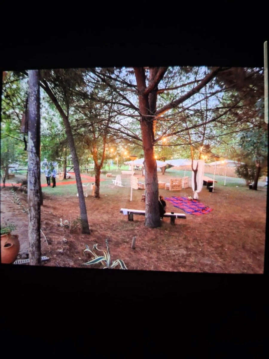 Quinta T3 para Venda em Alvega e Concavada Foto 56