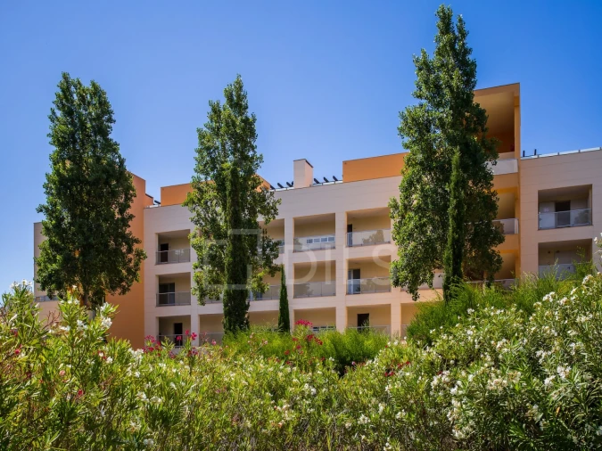 Apartamento T1 para Venda em Quarteira Foto 62