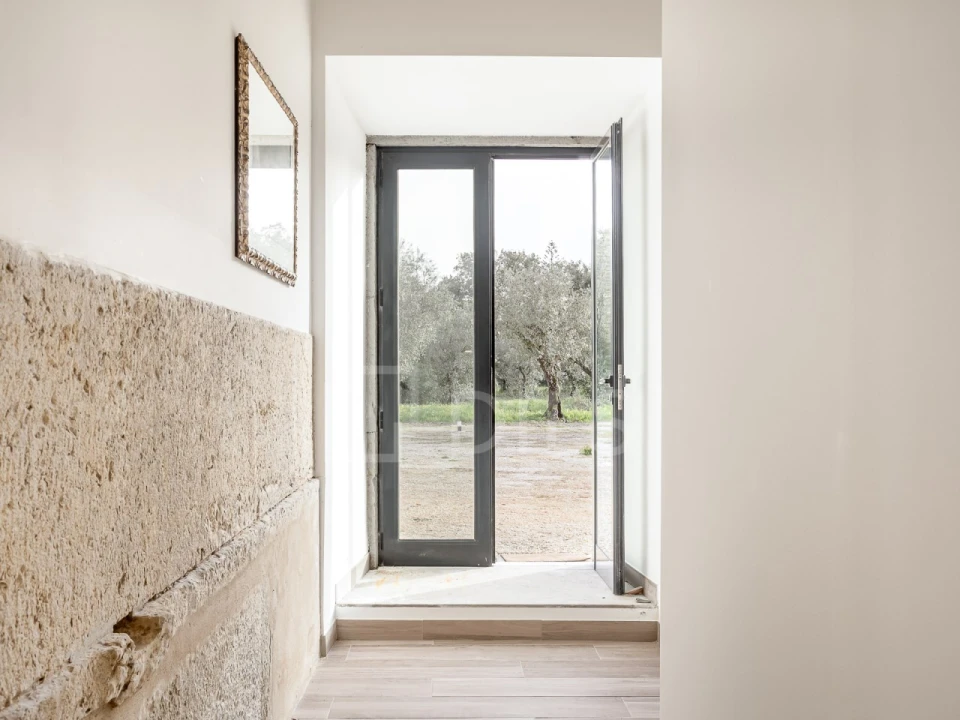 Quinta T9 para Venda em Azeitão (São Lourenço e São Simão) Foto 47