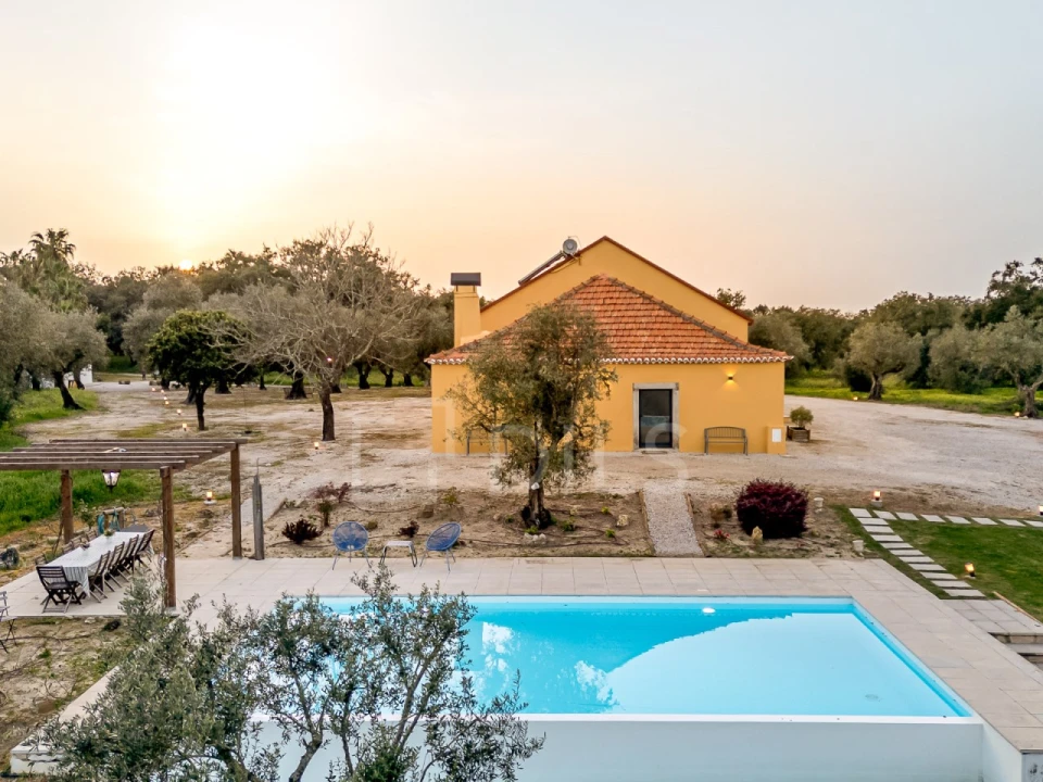 Quinta T9 para Venda em Azeitão (São Lourenço e São Simão) Foto 28