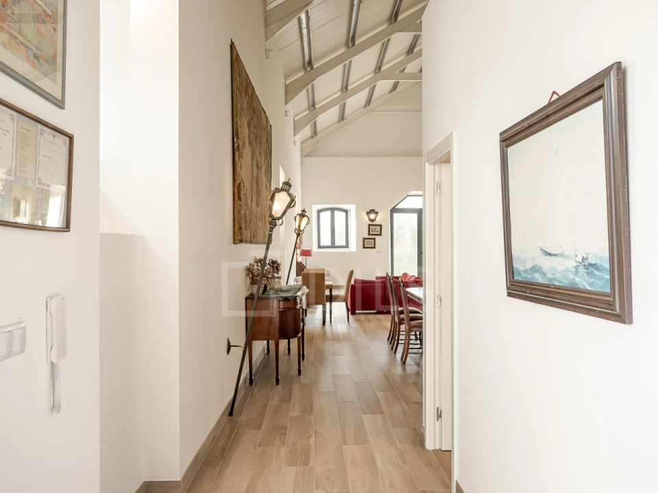 Quinta T9 para Venda em Azeitão (São Lourenço e São Simão) Foto 46