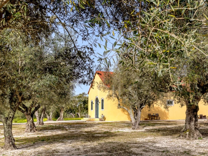 Quinta T9 para Venda em Azeitão (São Lourenço e São Simão) Foto 54
