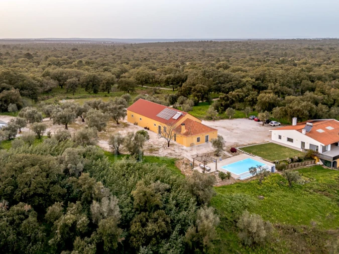 Quinta T9 para Venda em Azeitão (São Lourenço e São Simão) Foto 65