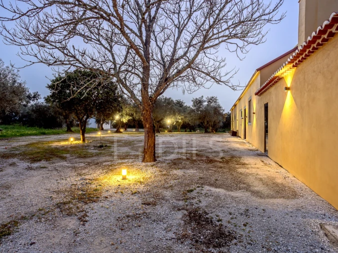 Quinta T9 para Venda em Azeitão (São Lourenço e São Simão) Foto 76