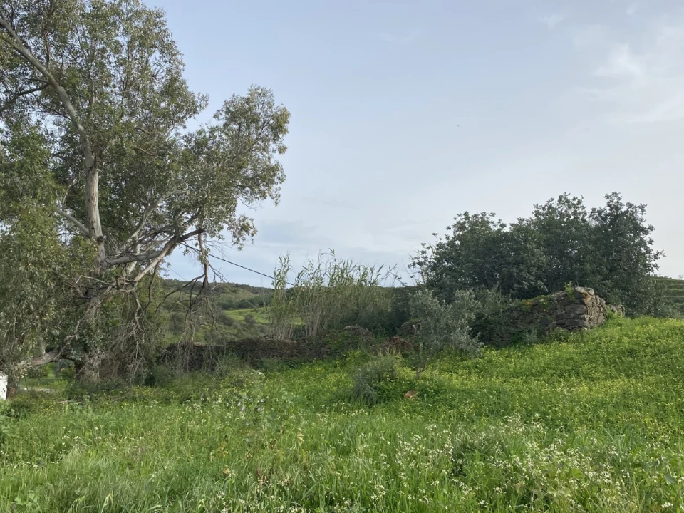 Quinta T4 para Venda em Castro Marim Foto 10