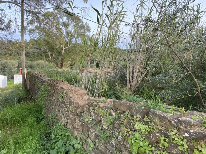 Quinta T4 para Venda em Castro Marim Foto 9