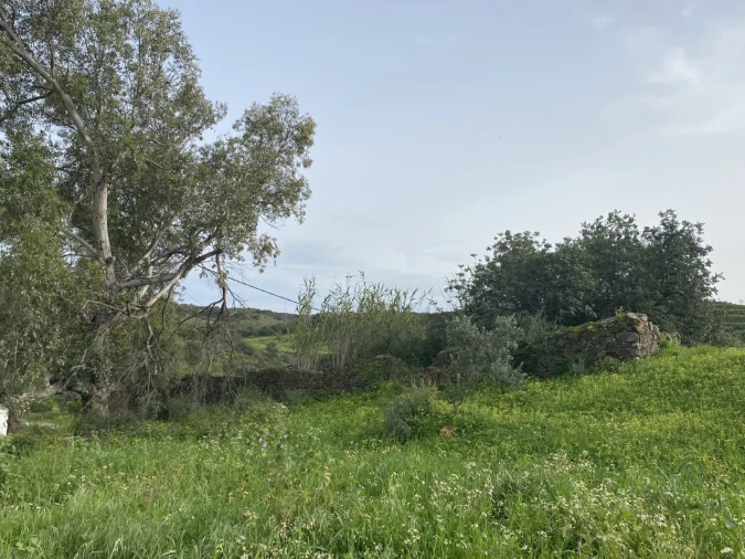 Quinta T4 para Venda em Castro Marim Foto 10