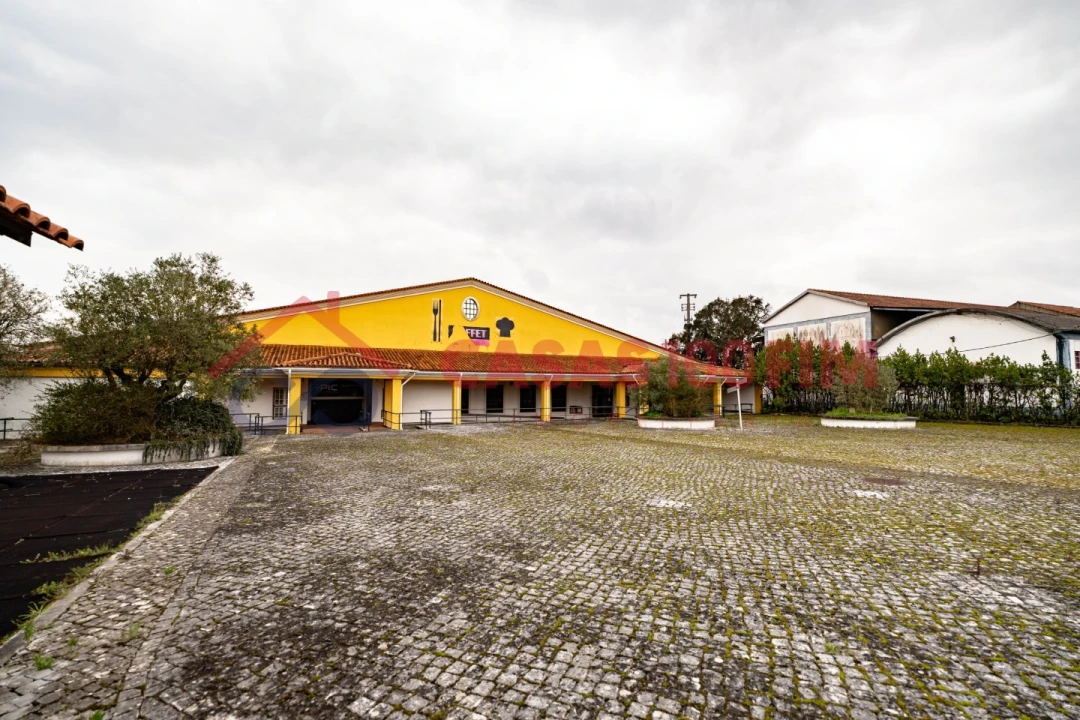 Negócio para Venda em Batalha Foto 8