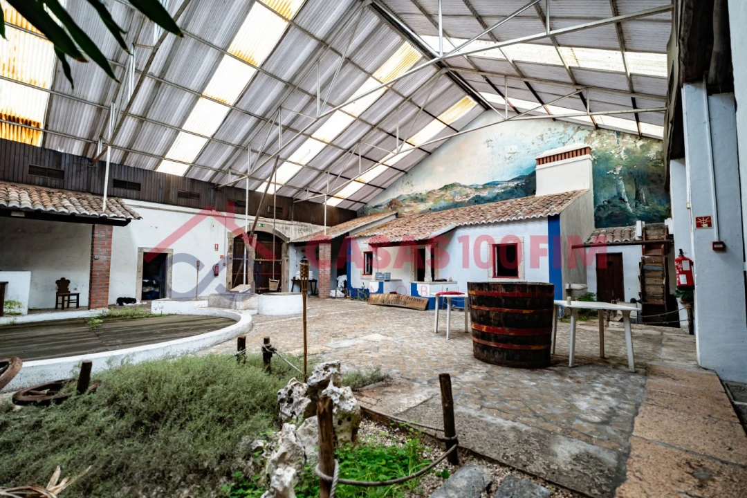 Negócio para Venda em Batalha Foto 22