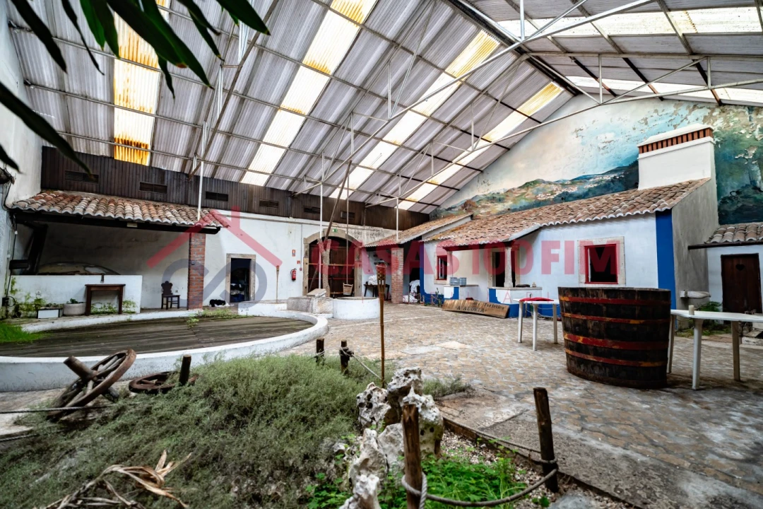 Negócio para Venda em Batalha Foto 23