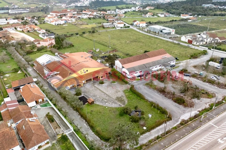 Negócio para Venda em Batalha Foto 4