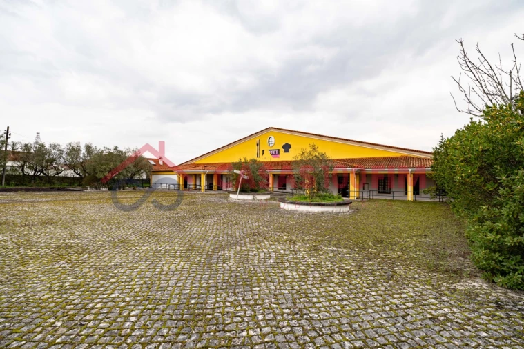 Negócio para Venda em Batalha Foto 9