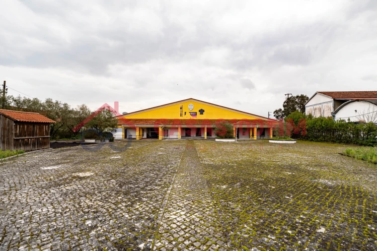 Negócio para Venda em Batalha Foto 10