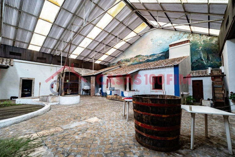 Negócio para Venda em Batalha Foto 24