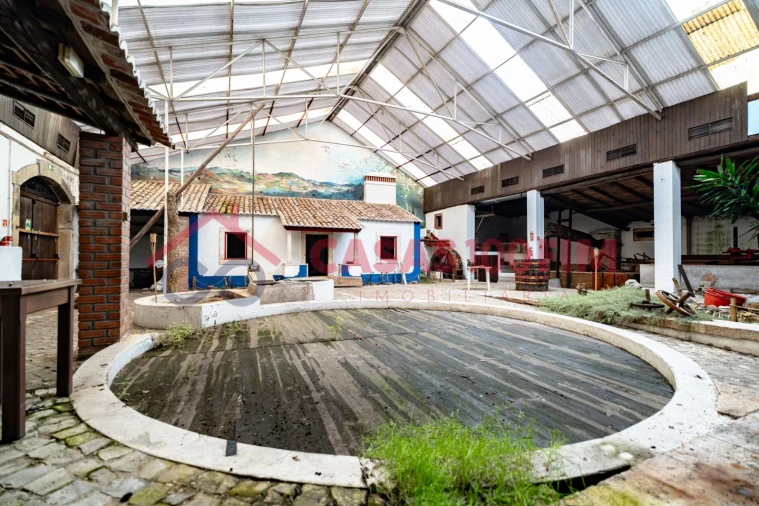 Negócio para Venda em Batalha Foto 33