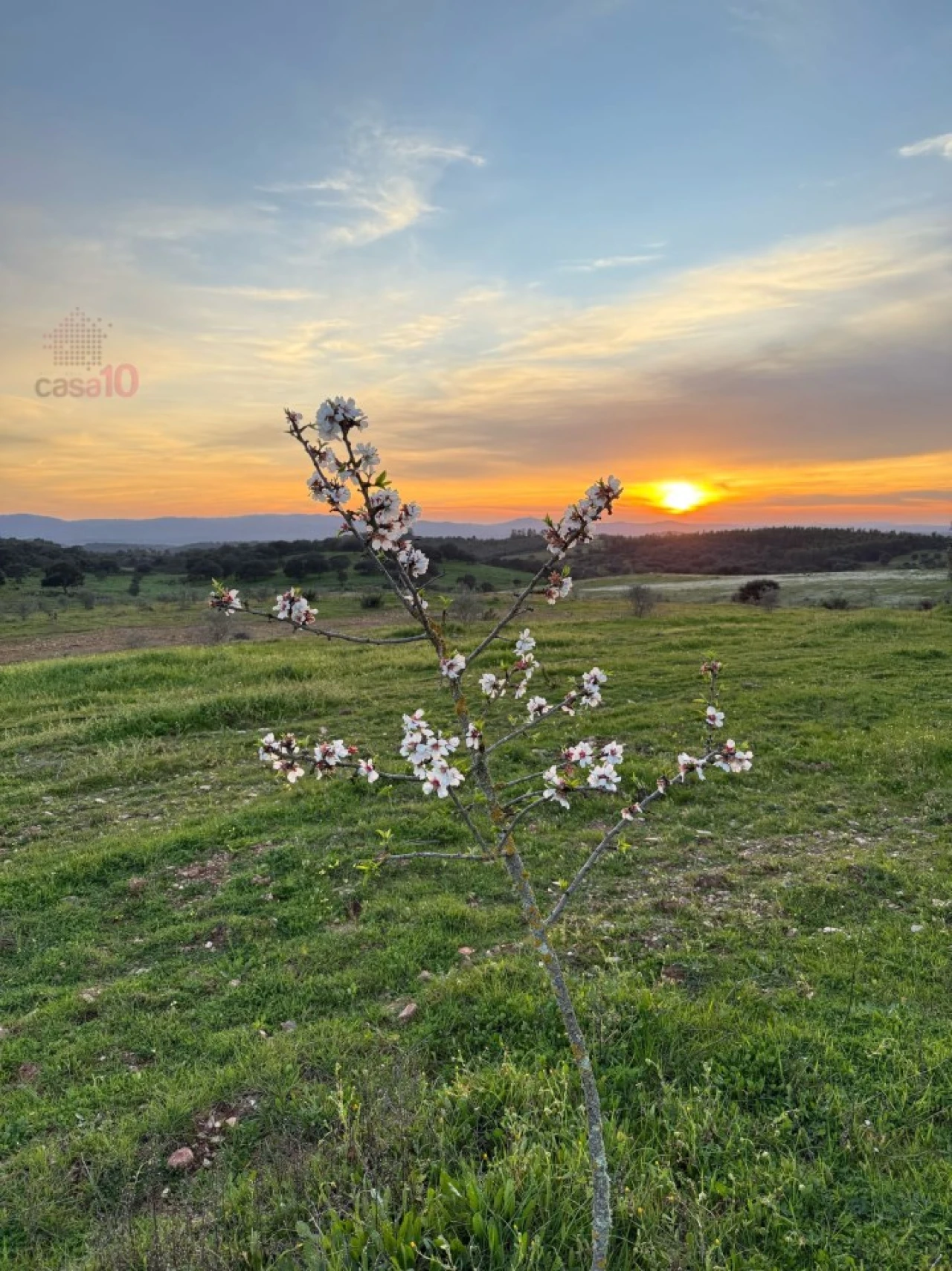 Quinta T5 para Venda em Gloria Foto 46