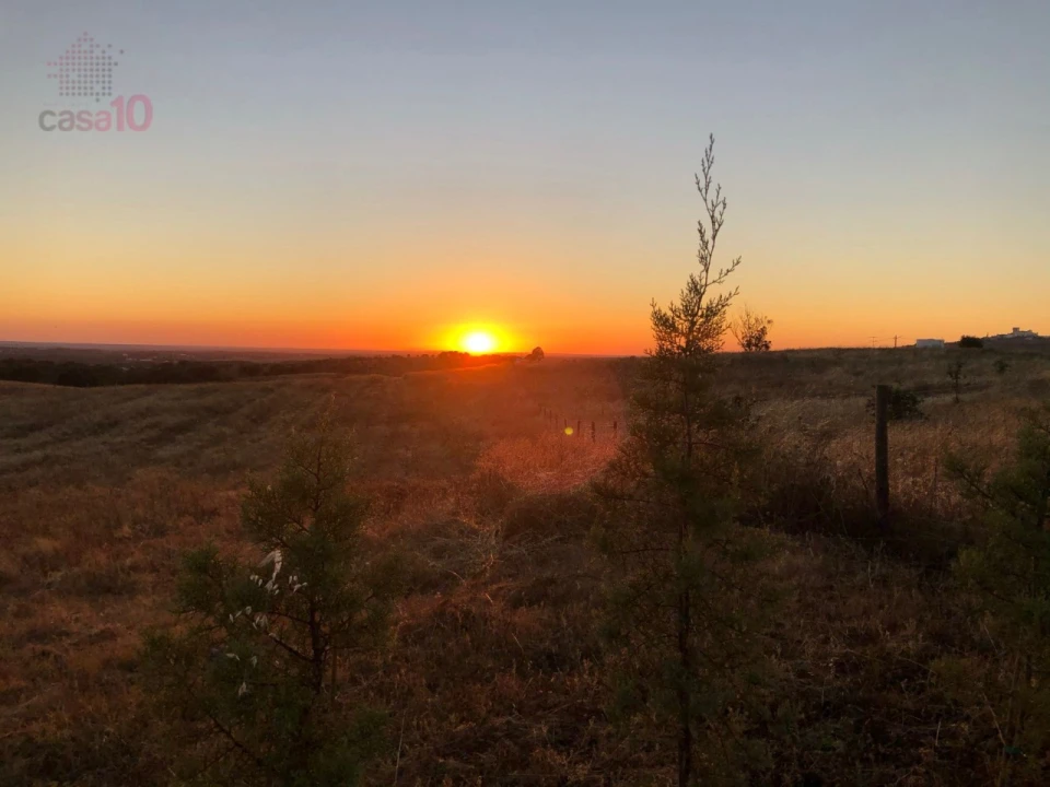 Quinta T5 para Venda em Gloria Foto 54