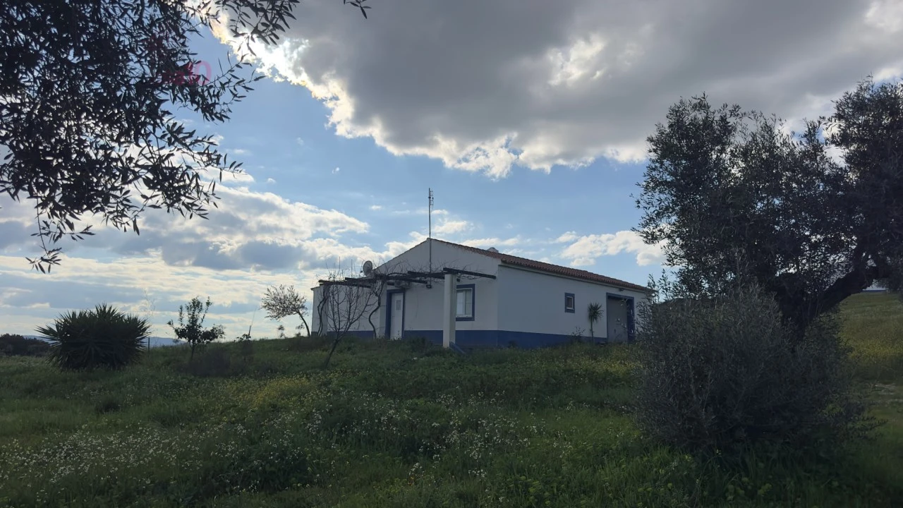 Quinta T5 para Venda em Gloria Foto 3